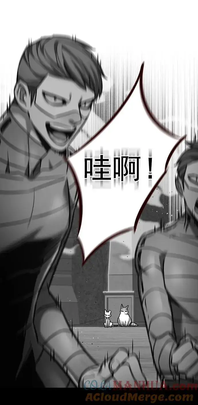 《觉醒吧，铲屎官！》第261话图4
