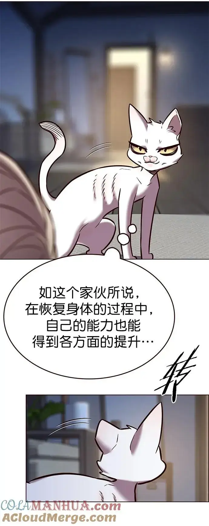 《觉醒吧，铲屎官！》第262话图67
