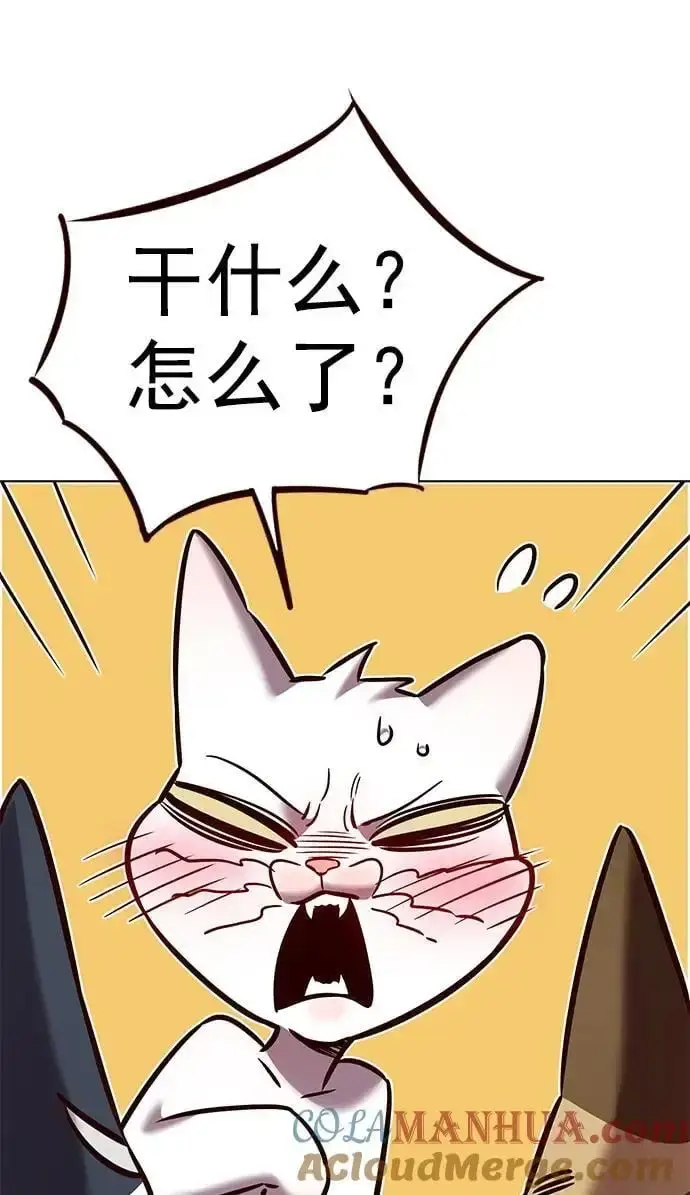 《觉醒吧，铲屎官！》第262话图70