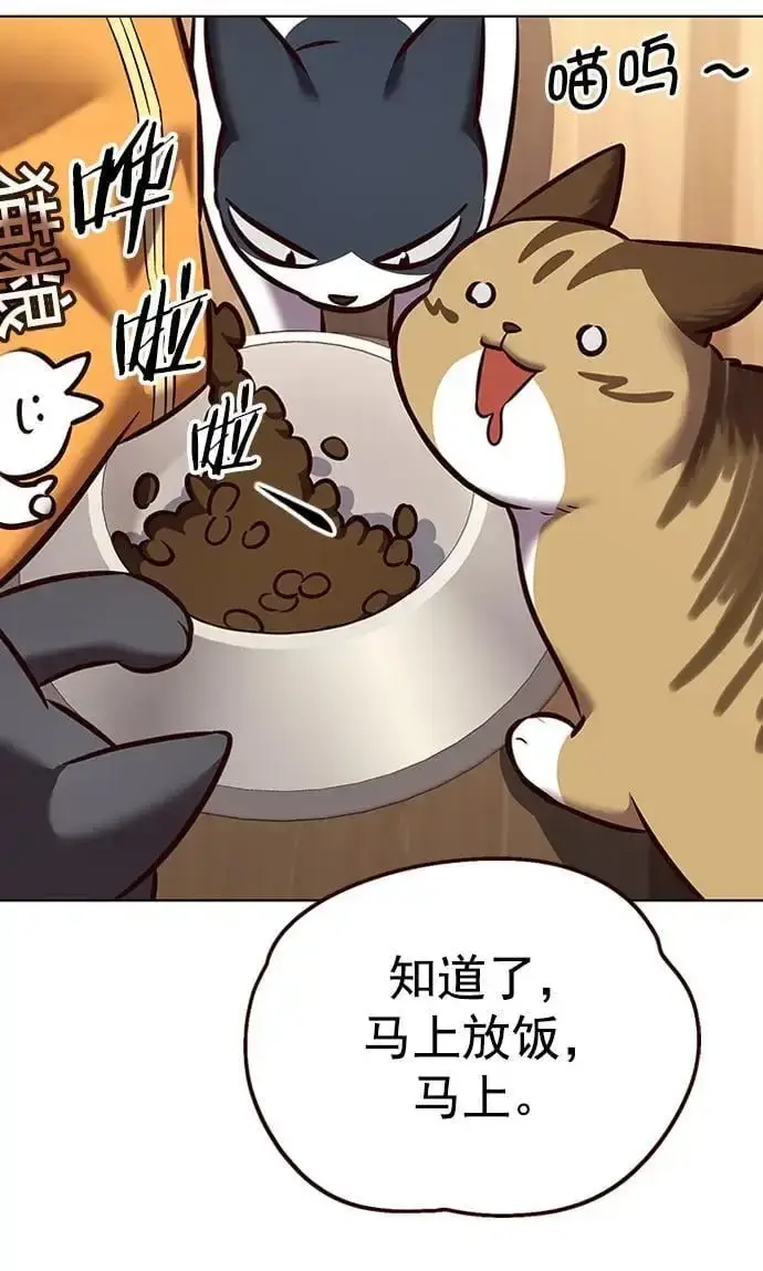 《觉醒吧，铲屎官！》第269话图42