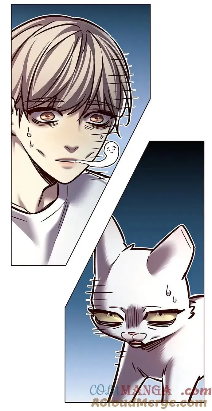 《觉醒吧，铲屎官！》第278话图10