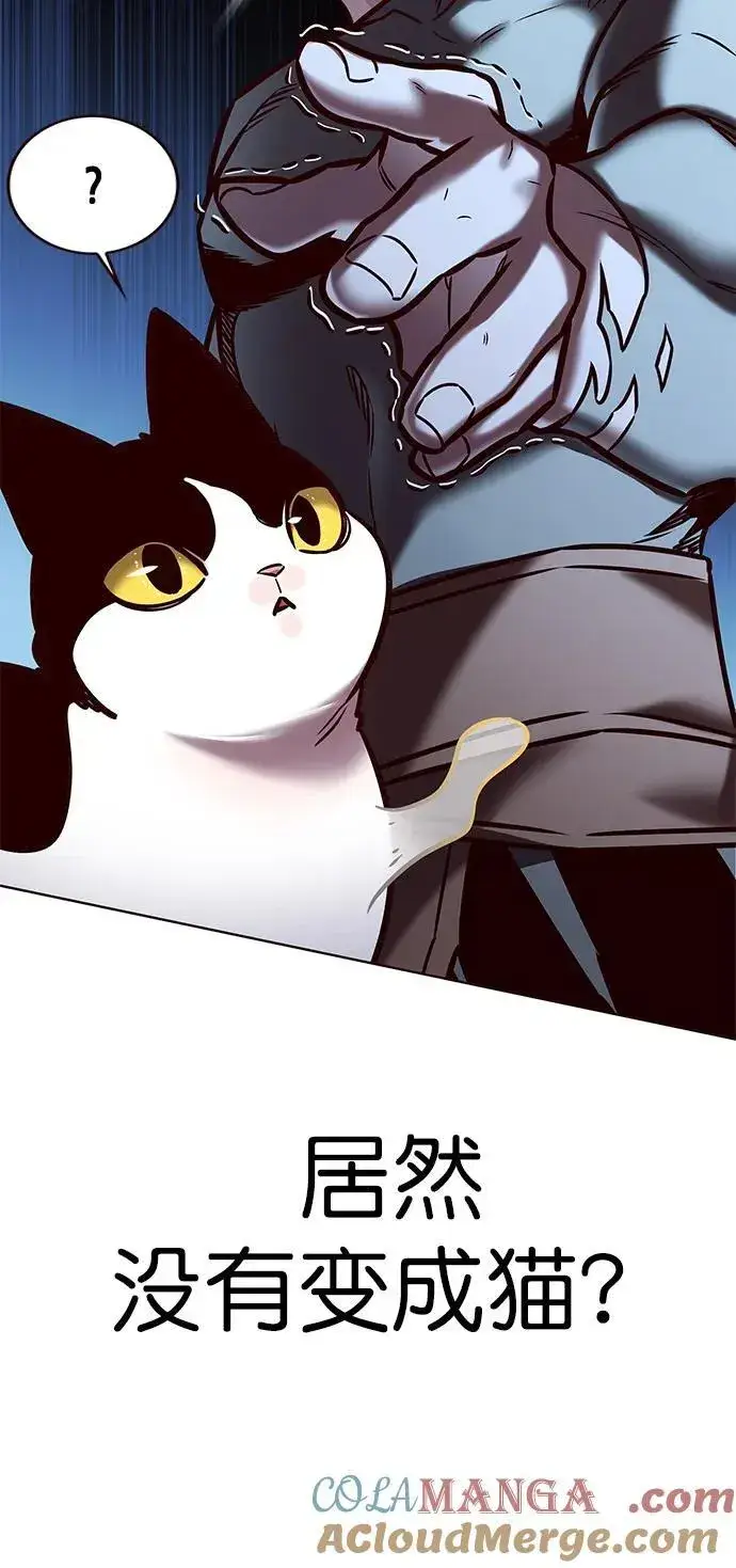 《觉醒吧，铲屎官！》第279话图41