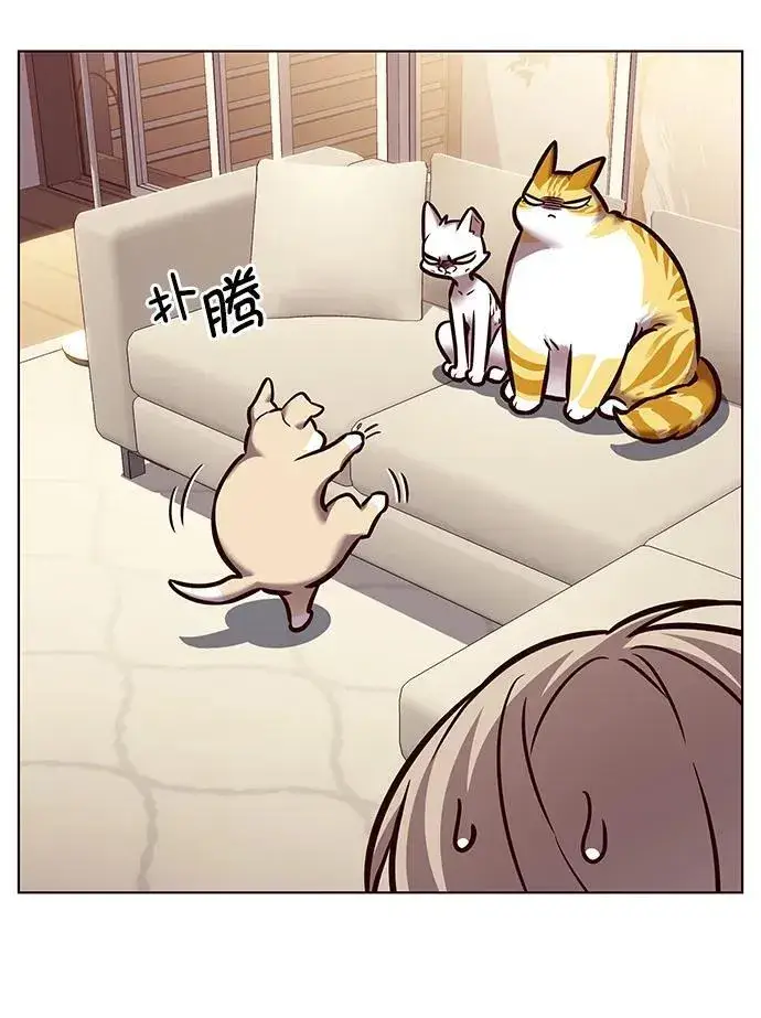 《觉醒吧，铲屎官！》第279话图94