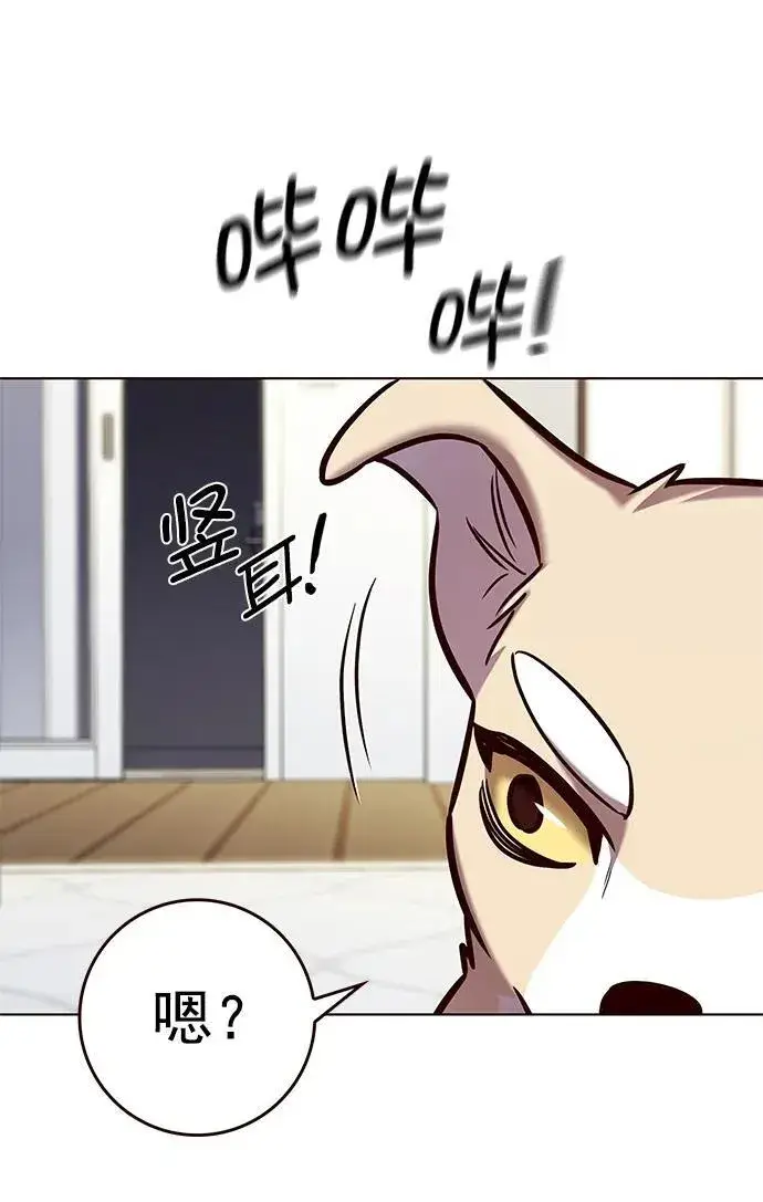《觉醒吧，铲屎官！》第280话图15