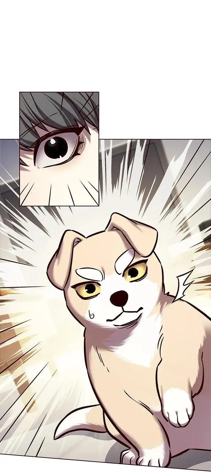 《觉醒吧，铲屎官！》第280话图20