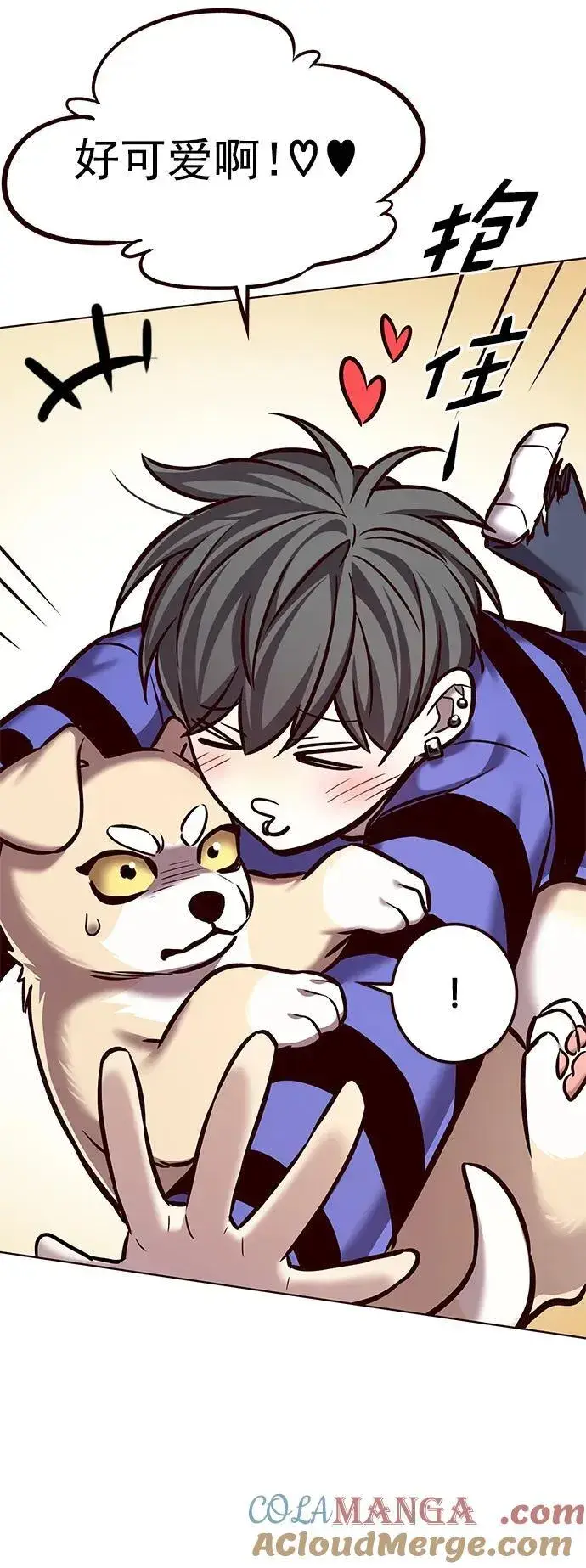 《觉醒吧，铲屎官！》第280话图22