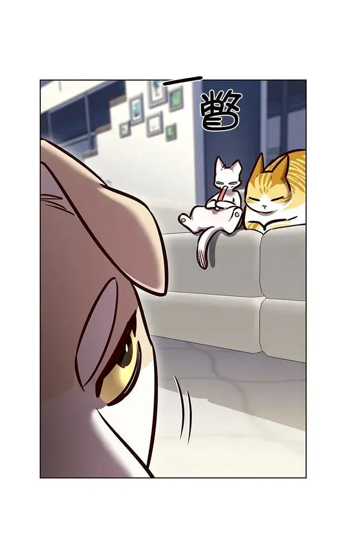 《觉醒吧，铲屎官！》第280话图8