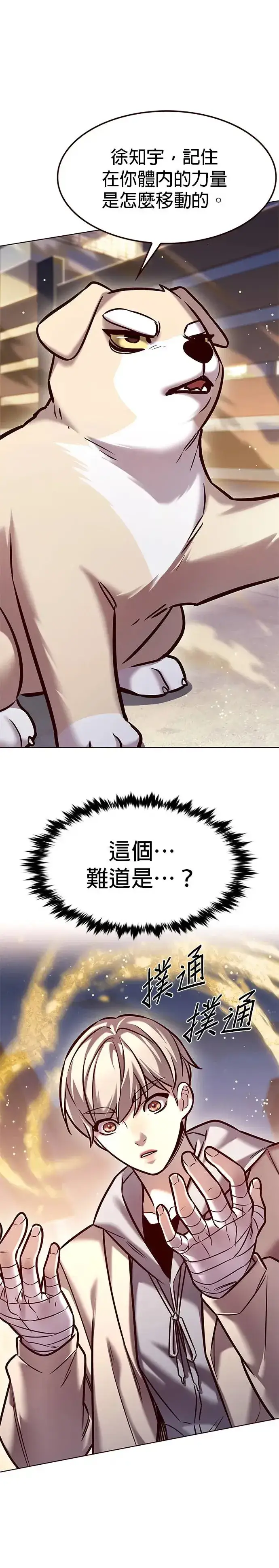 《觉醒吧，铲屎官！》第284话图47