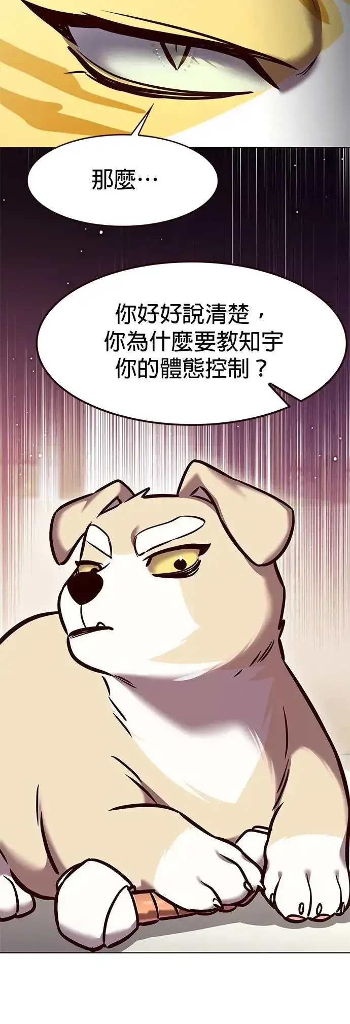 《觉醒吧，铲屎官！》第285话图11