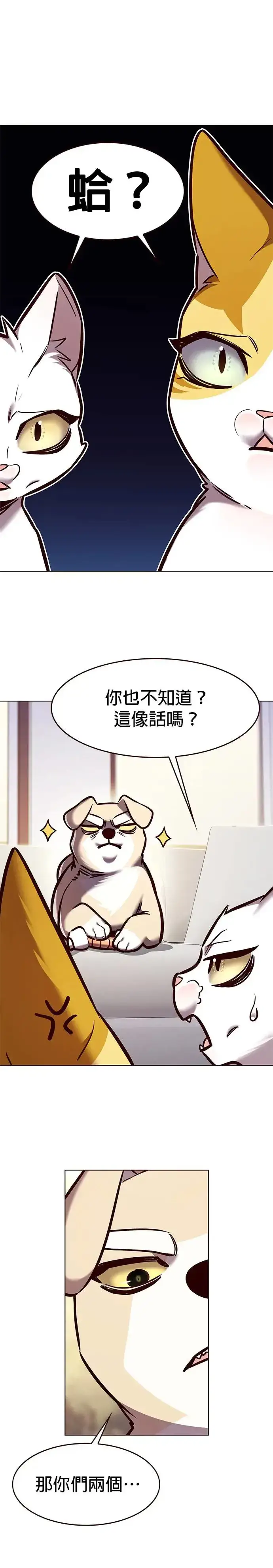 《觉醒吧，铲屎官！》第285话图13