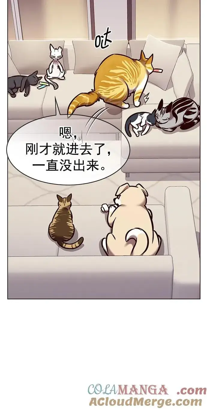 《觉醒吧，铲屎官！》第294话图58