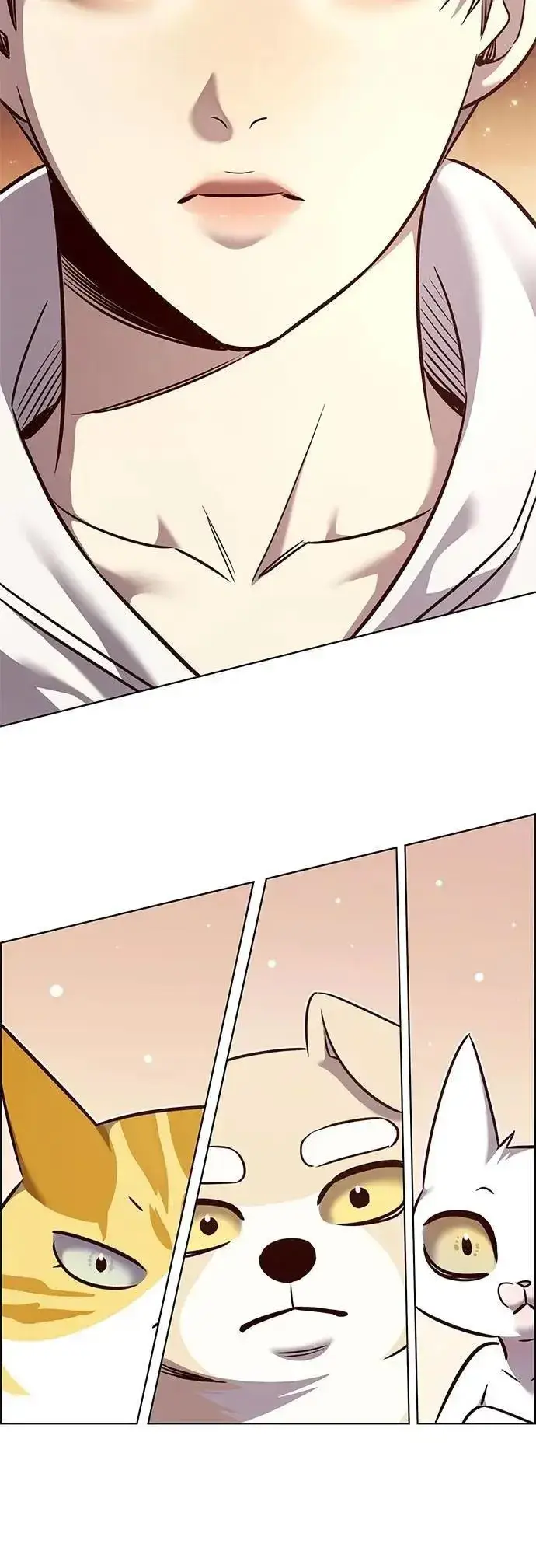《觉醒吧，铲屎官！》第329话图15