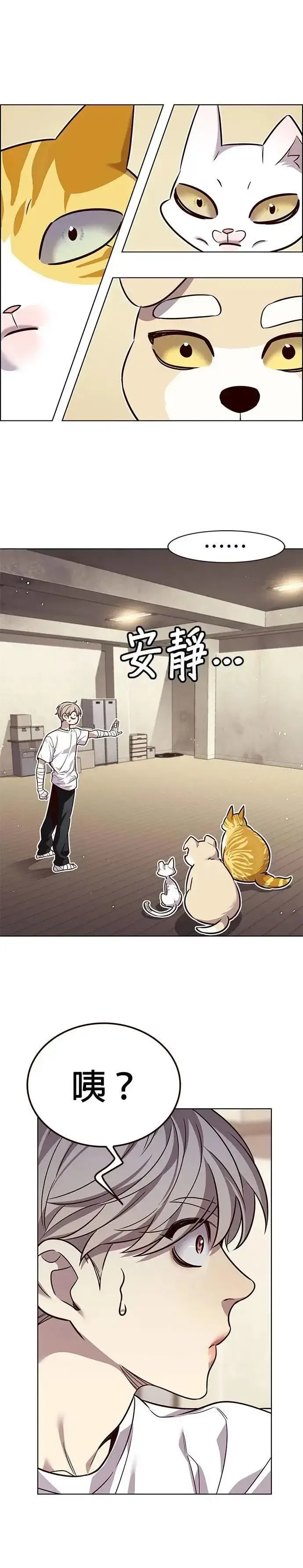《觉醒吧，铲屎官！》第330话图25