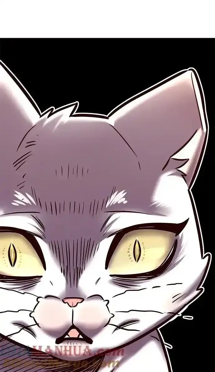 《觉醒吧，铲屎官！》第275话图37
