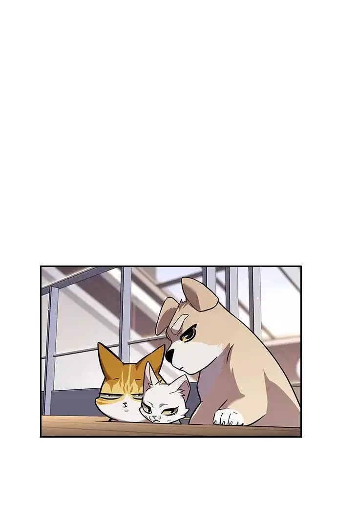 《觉醒吧，铲屎官！》第403话图233