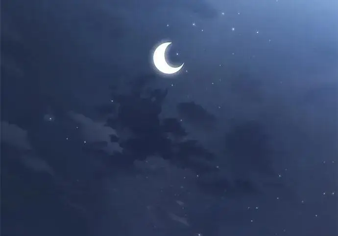 《觉醒吧，铲屎官！》第408话图244