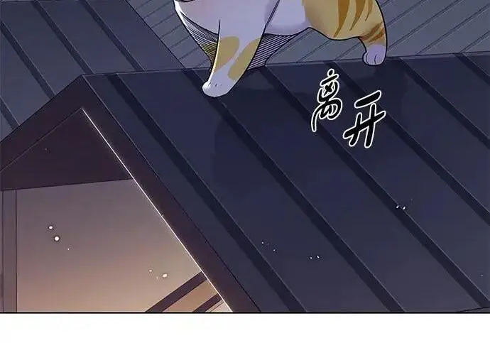 《觉醒吧，铲屎官！》第408话图254
