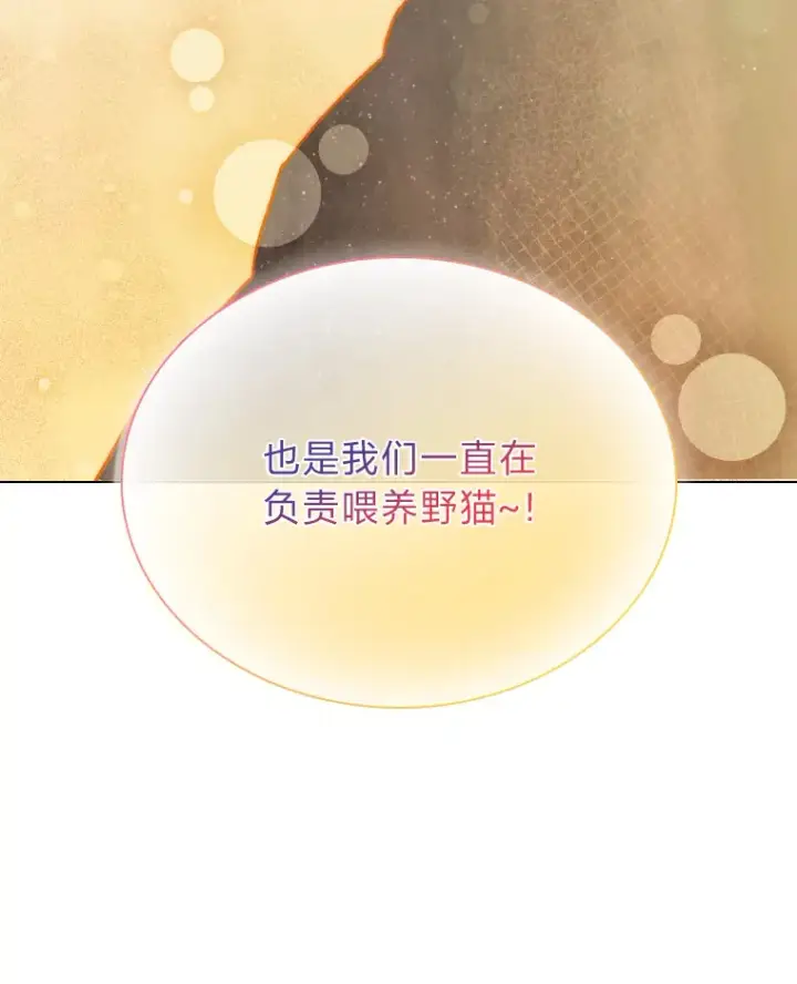 《靠手艺红出圈的糊团爱豆》13.真实的“模样”图62