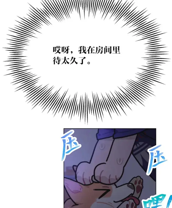 《靠手艺红出圈的糊团爱豆》15.糊团开直播图16