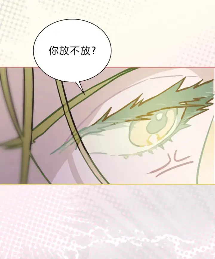 《靠手艺红出圈的糊团爱豆》15.糊团开直播图45