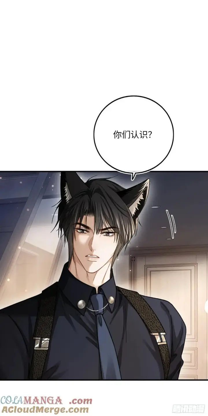《快穿：上瘾关系》57 新欢旧爱大乱斗图49
