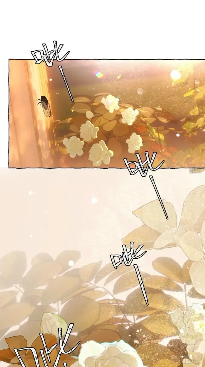 《揽月，潮鸣》番外5图4