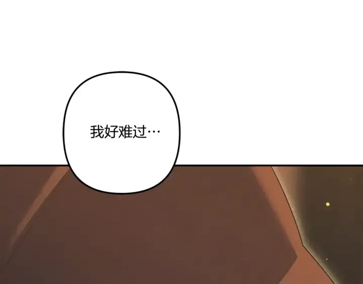 《掠夺婚姻》第31话 异域美男图116