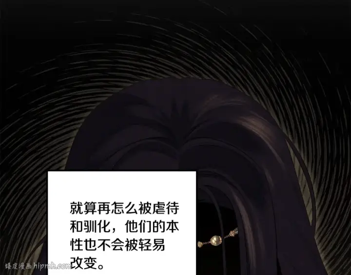 《掠夺婚姻》第31话 异域美男图176