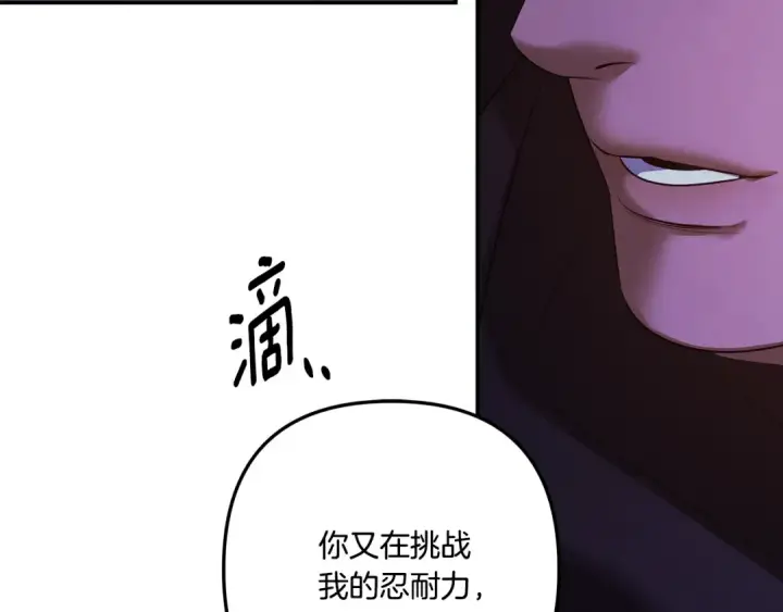 《掠夺婚姻》第31话 异域美男图227