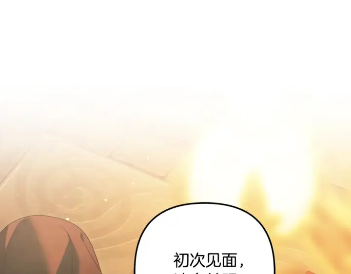 《掠夺婚姻》第31话 异域美男图46