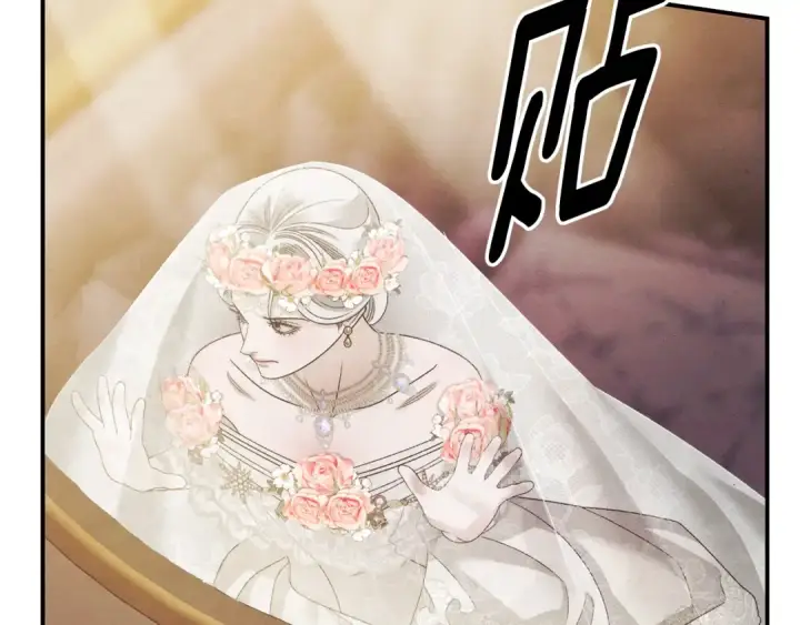 《掠夺婚姻》第50话 抢婚图163