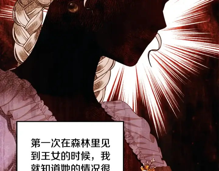 《掠夺婚姻》第51话 王妃的玩偶图173