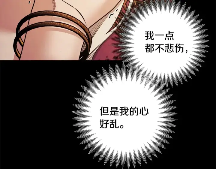 《掠夺婚姻》第65话 艾斯提尔国王的死讯图201