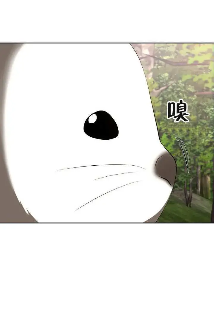 《离婚是条件》第47话图29