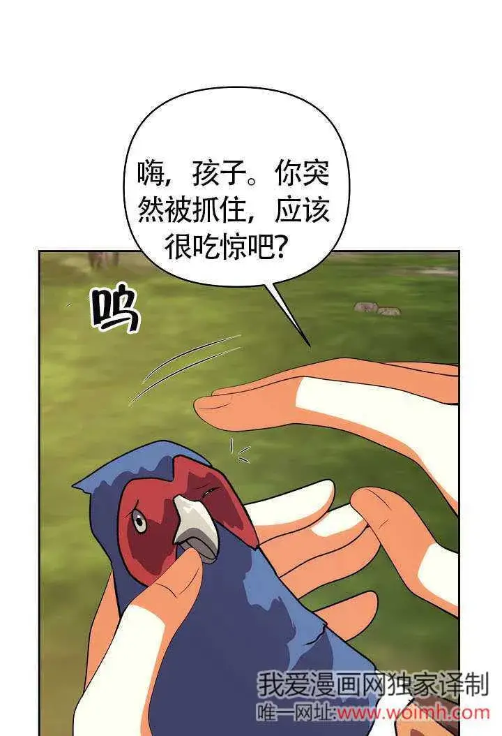 《离婚是条件》第47话图47
