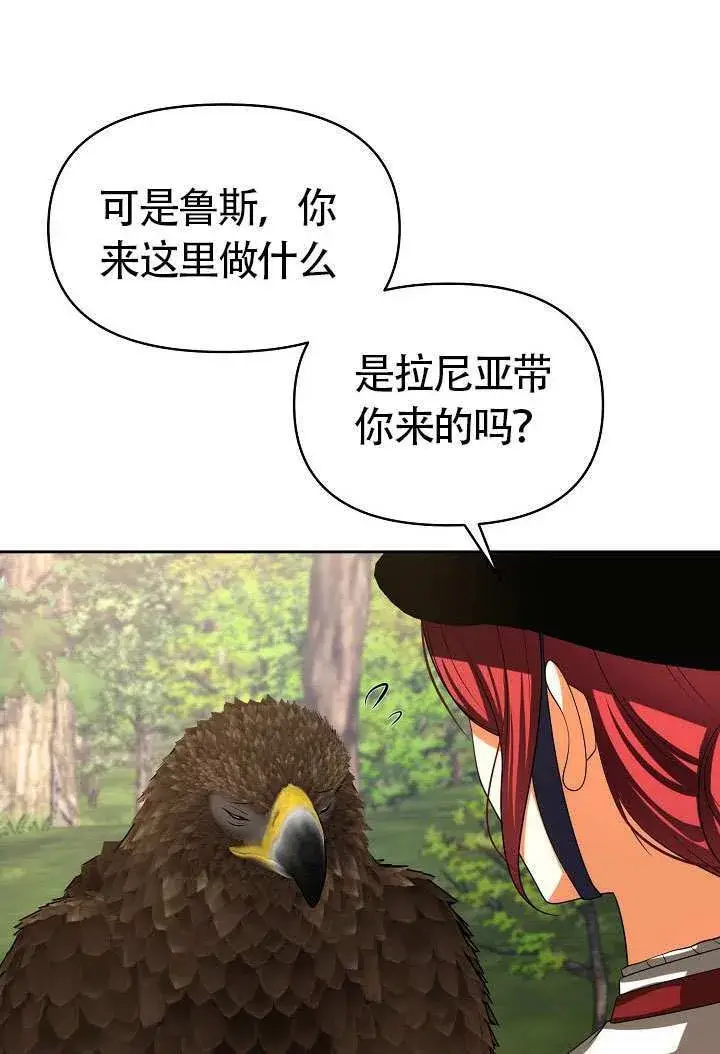 《离婚是条件》第47话图67