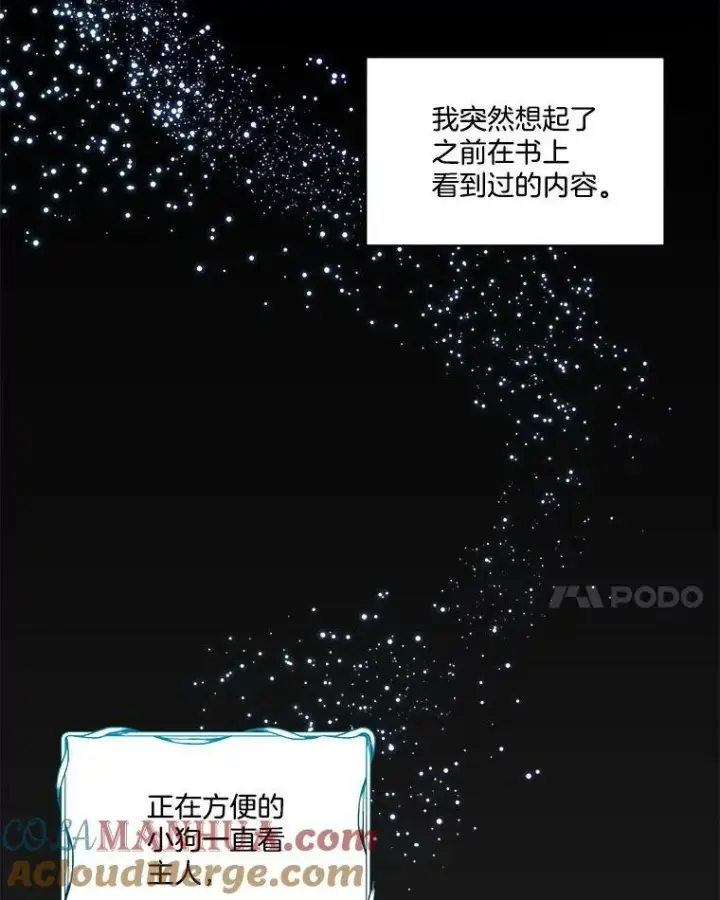 《临时保护我方男主》6.乌鸦图17