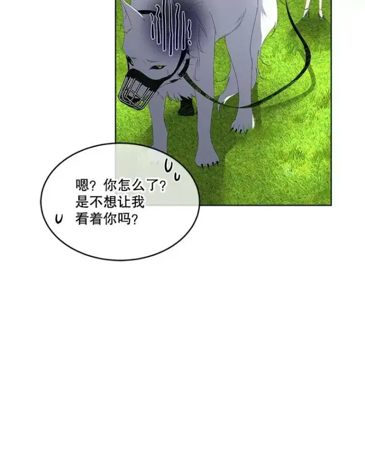 《临时保护我方男主》6.乌鸦图23