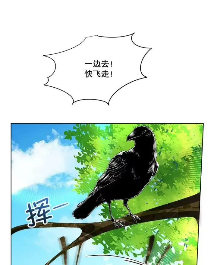 《临时保护我方男主》6.乌鸦图42