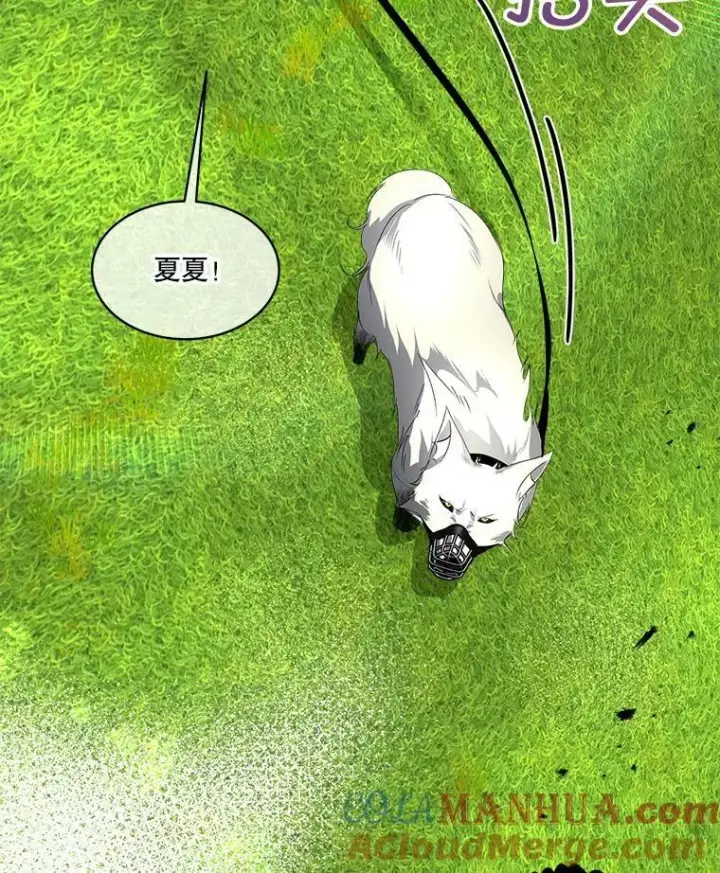 《临时保护我方男主》6.乌鸦图53