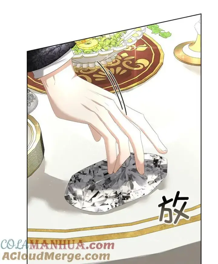 《临时保护我方男主》7.魔力石图17