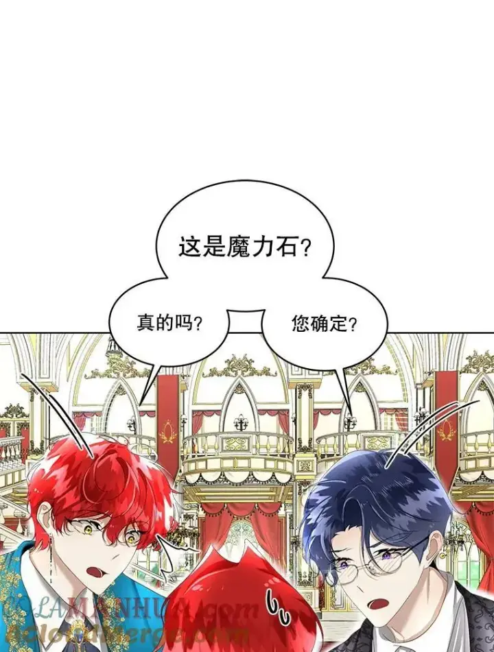 《临时保护我方男主》7.魔力石图29