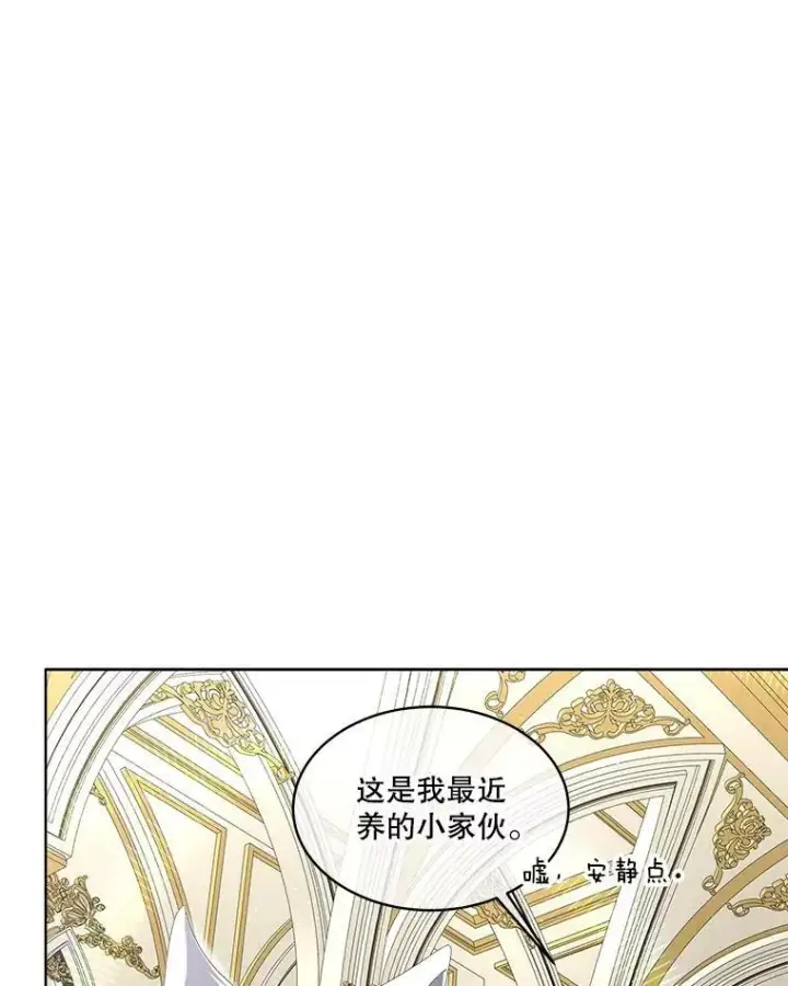 《临时保护我方男主》7.魔力石图8