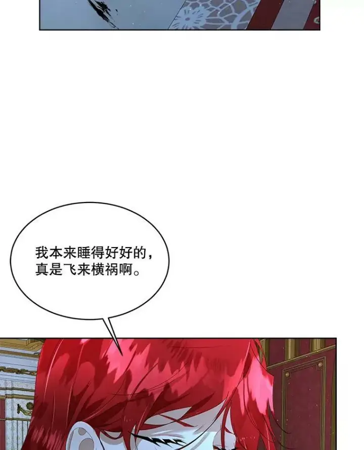 《临时保护我方男主》9.刺杀图27