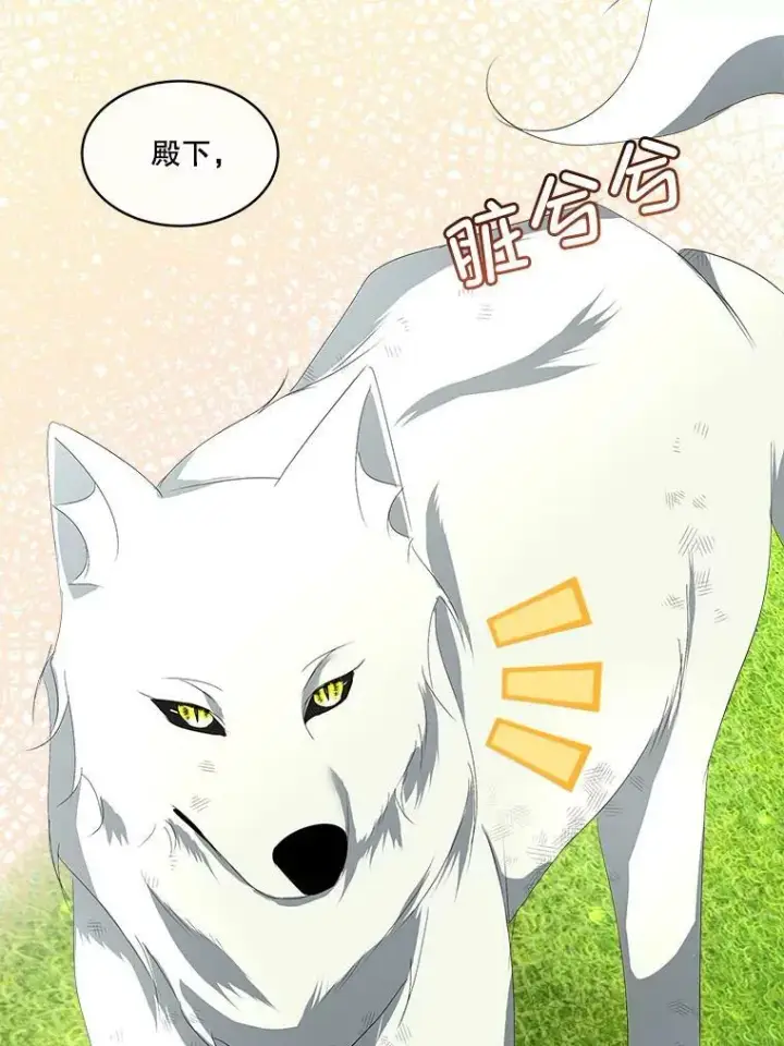 《临时保护我方男主》12.神秘力量图99