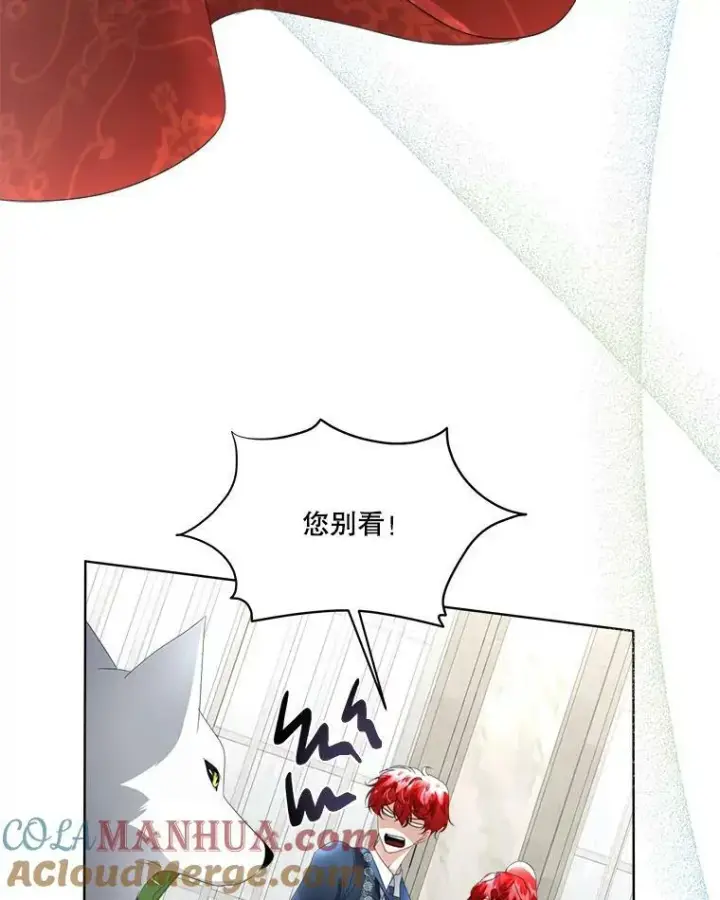 《临时保护我方男主》13.莱纳德图41