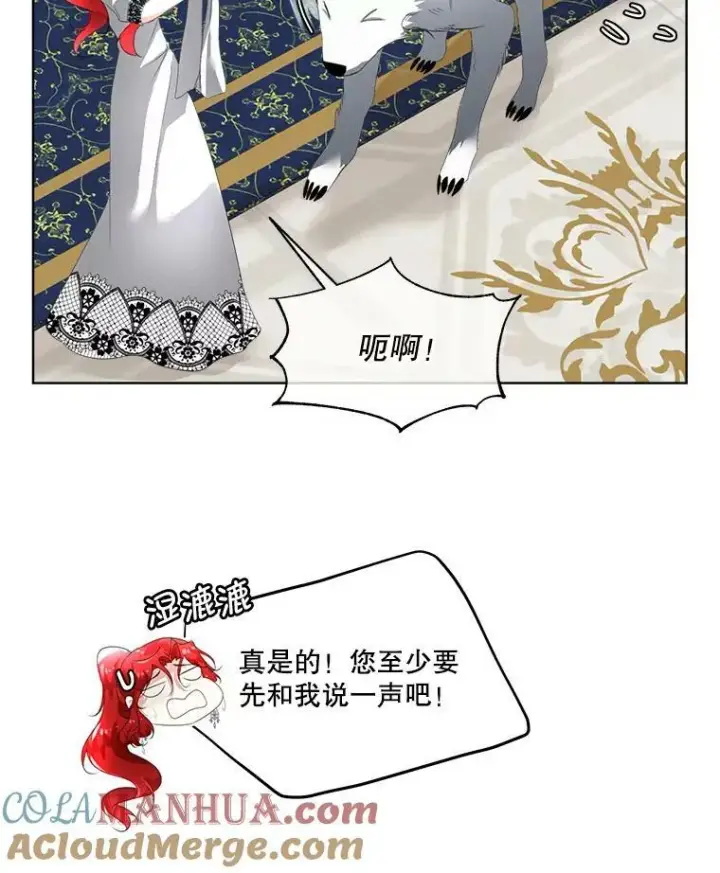 《临时保护我方男主》13.莱纳德图9