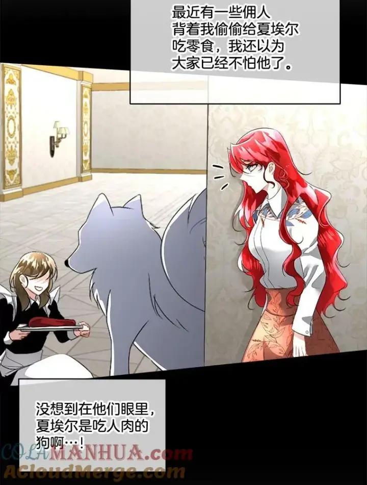 《临时保护我方男主》17.女仆汉娜图29