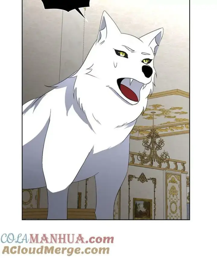 《临时保护我方男主》19.心绪渐明图57