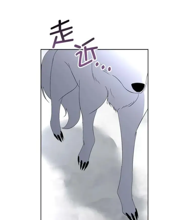 《临时保护我方男主》20.理想型图10